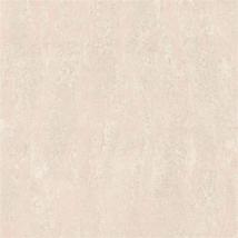 自由飞翔(抛光砖）C8ZY881