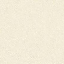 金碧辉煌(抛光砖）C8JV231