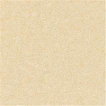 花开富贵(抛光砖)C8HK902 花开富贵(抛光砖)C8HK902