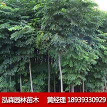 泓森 北栾
